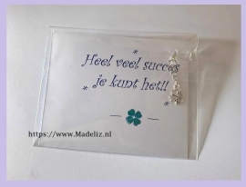Examen - succes je kunt het