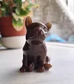 Bulldog - donker bruin
