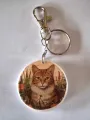 Rood - wit kat 